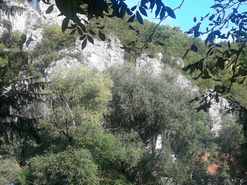 Zagubica planina vreme