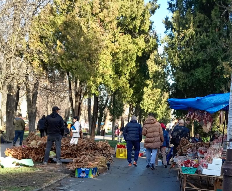 Badnjak Pijaca
