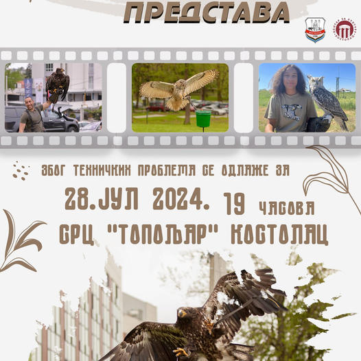 452217475 6560263416677 3558471488504130063 N