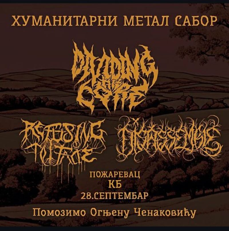 457737046 1044301100731390 5097542159781963522 N