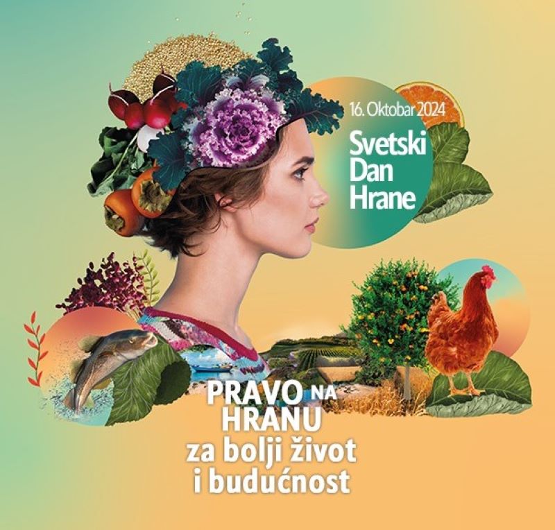 462172329 1018371013421216 1942658097989501934 N