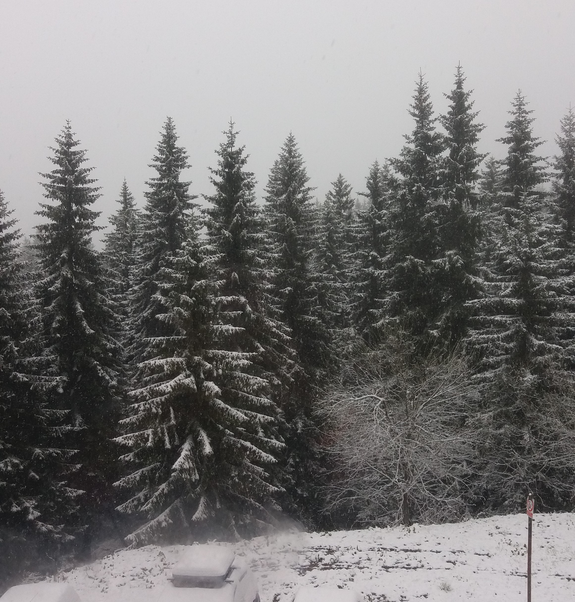 Sneg Kopaonik 2 vremenska prognoza