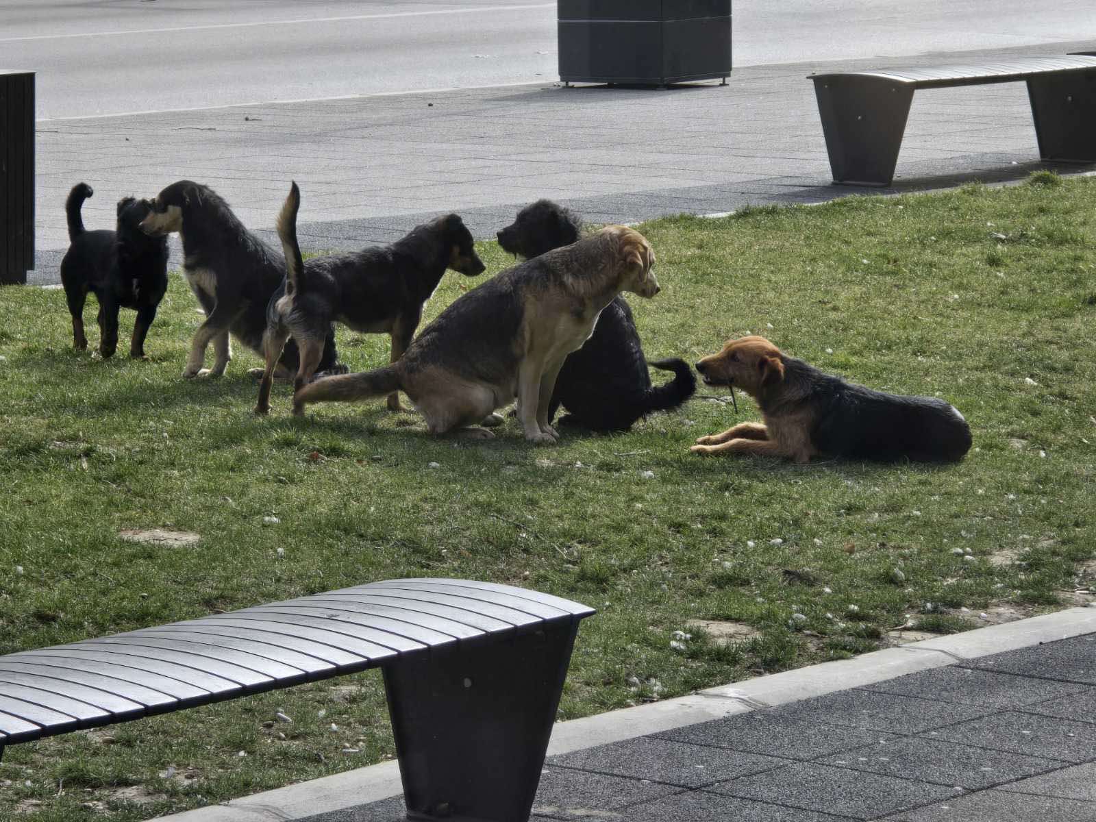 Img 3ba81020d565d4fd80d63109440c2e9d V