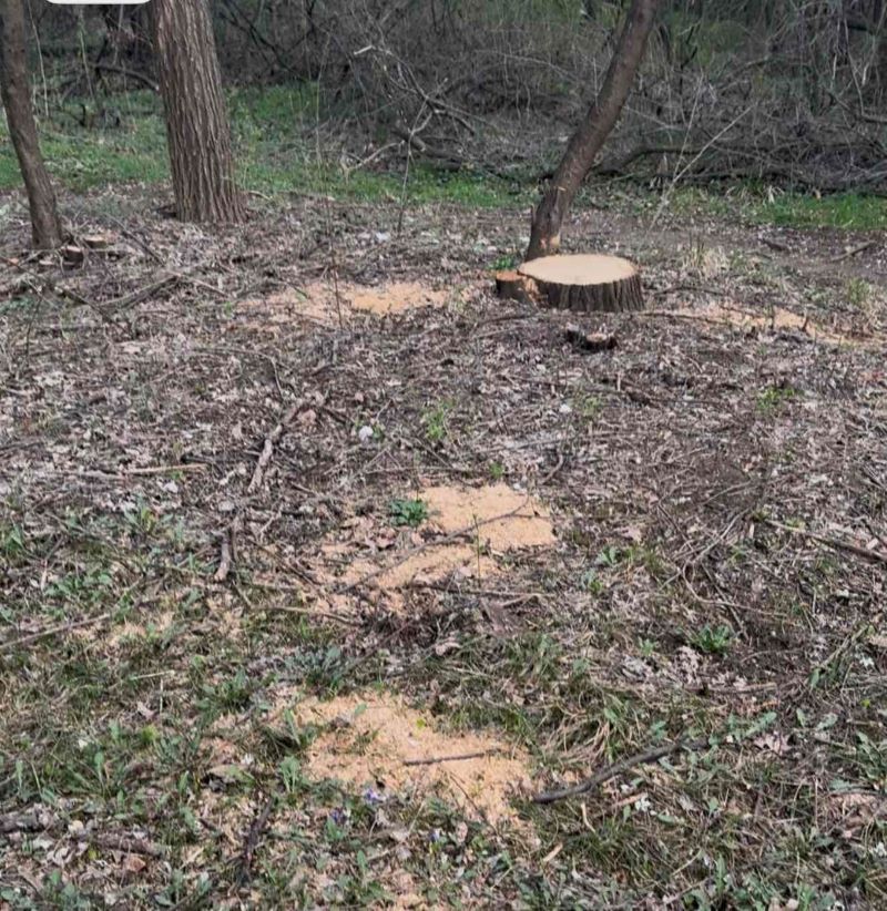 IMG 33a9c4309589d631979d82b8d098ce10 V