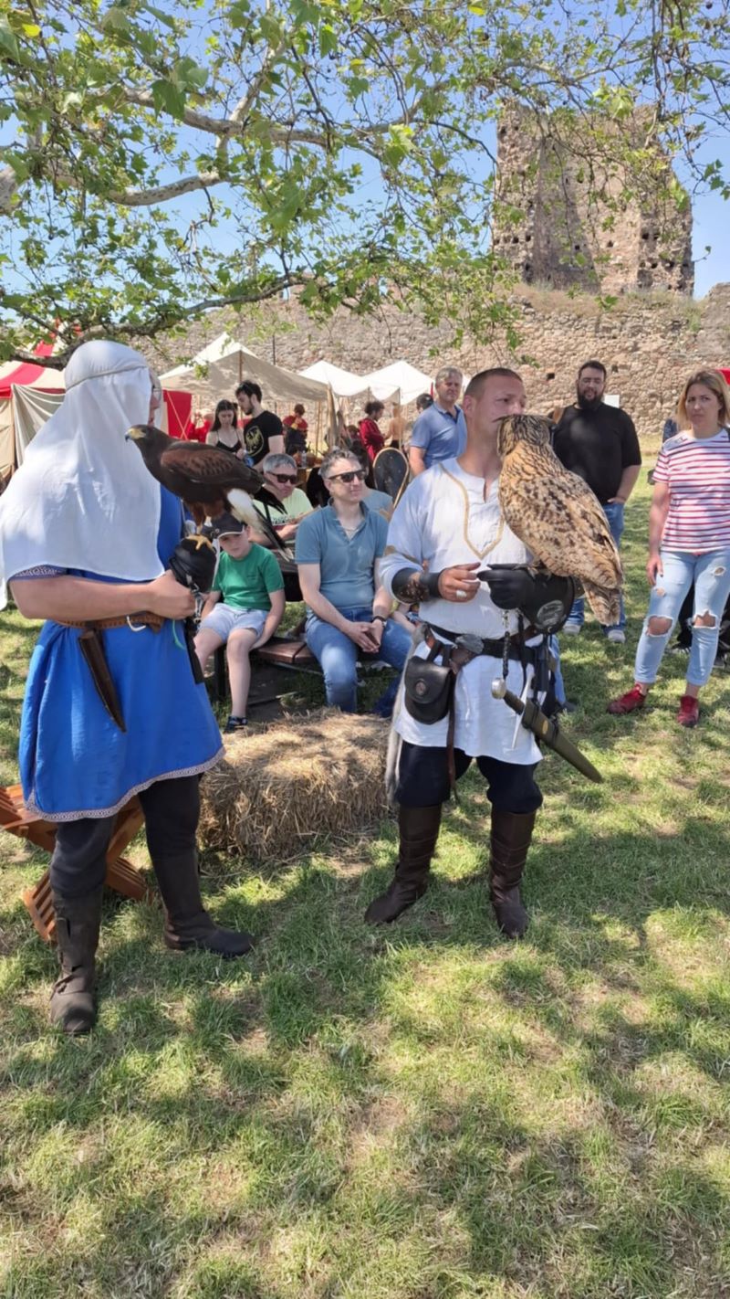 3e75bade 7462 438a 8bfa f190d86a38ec