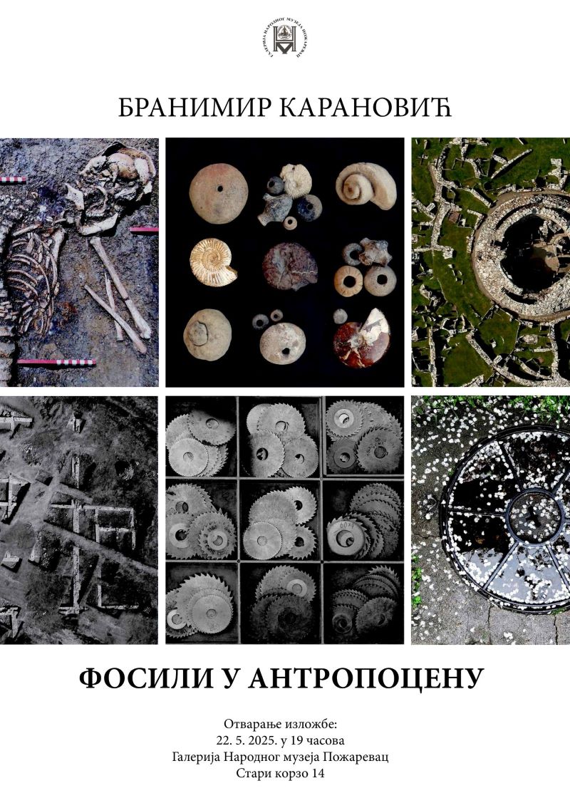 499424033 1117371807075359 3937341013583764914 n