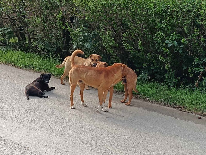 IMG 5737017968bd1b5f3e8b3b7a789ec04f V