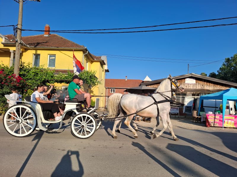 Miholjski susreti sela 2025 09