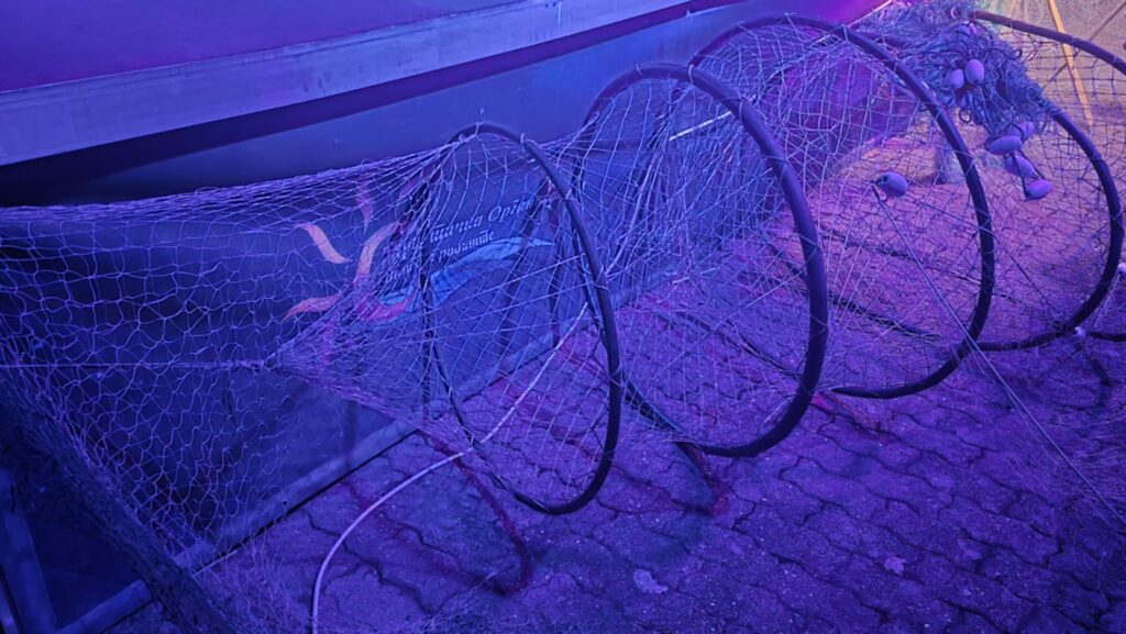 30f98fc9 e1b9 4789 bb25 d5ebc1312907