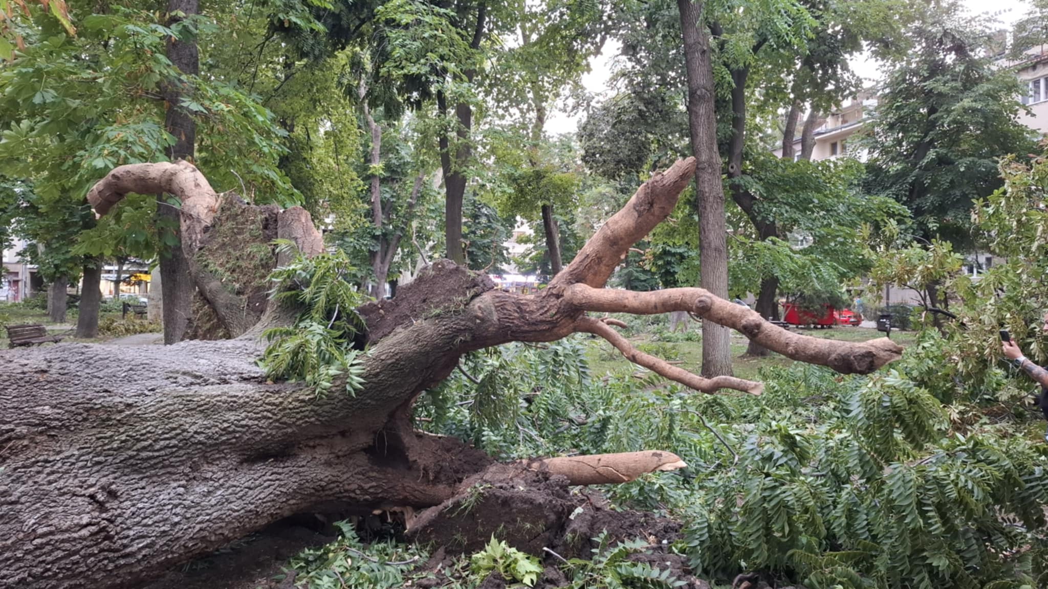 cff2b2cd 5463 4b23 b0cf 09a4b3e63240