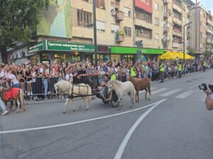 20250905 184046 800x600 1