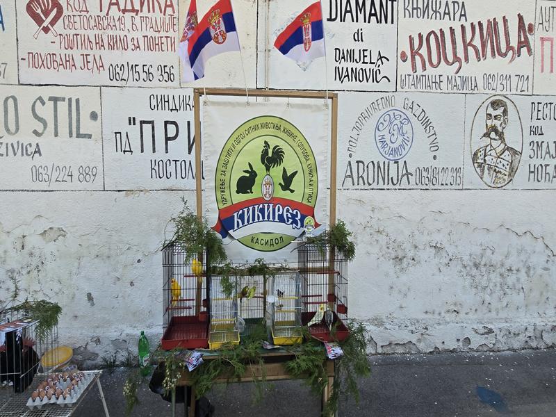 20250927 163452 800x600 1