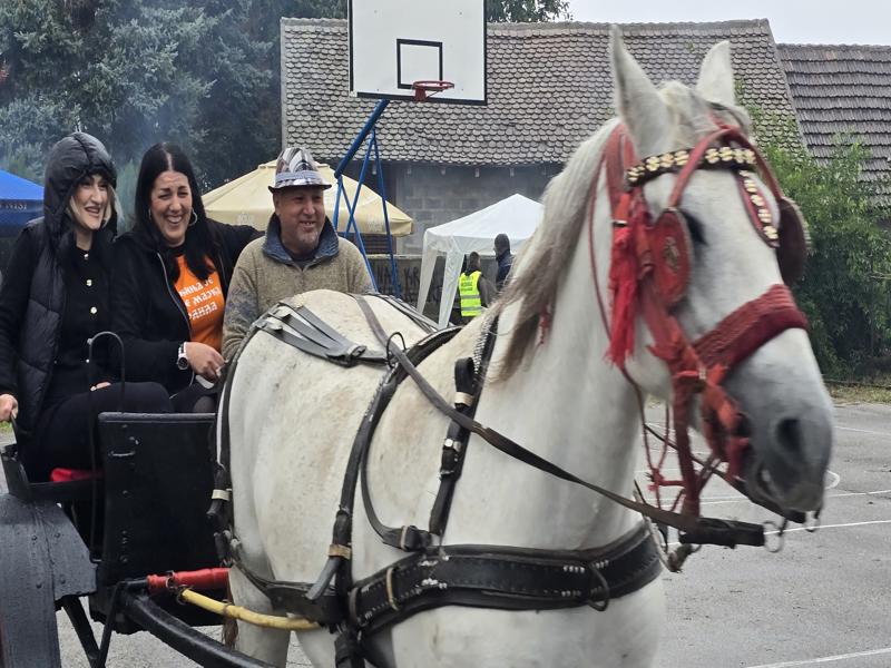 20251004 120857 800x600 1