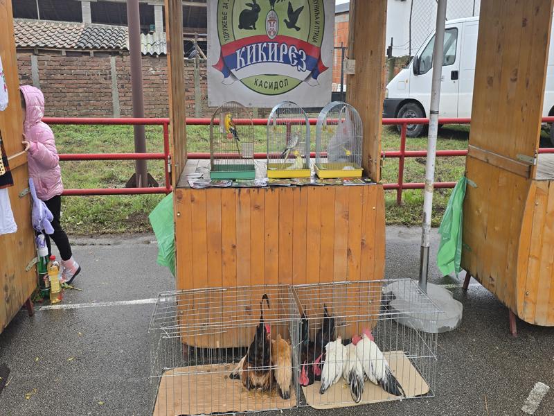 20251004 133359 800x600 1