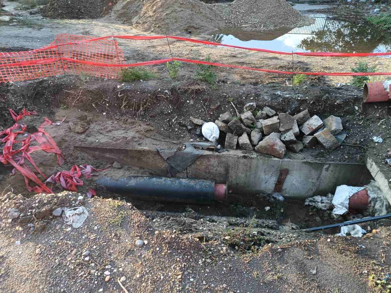 IMG 72c5c3827bfb6197f79ef239e3b6c743 V