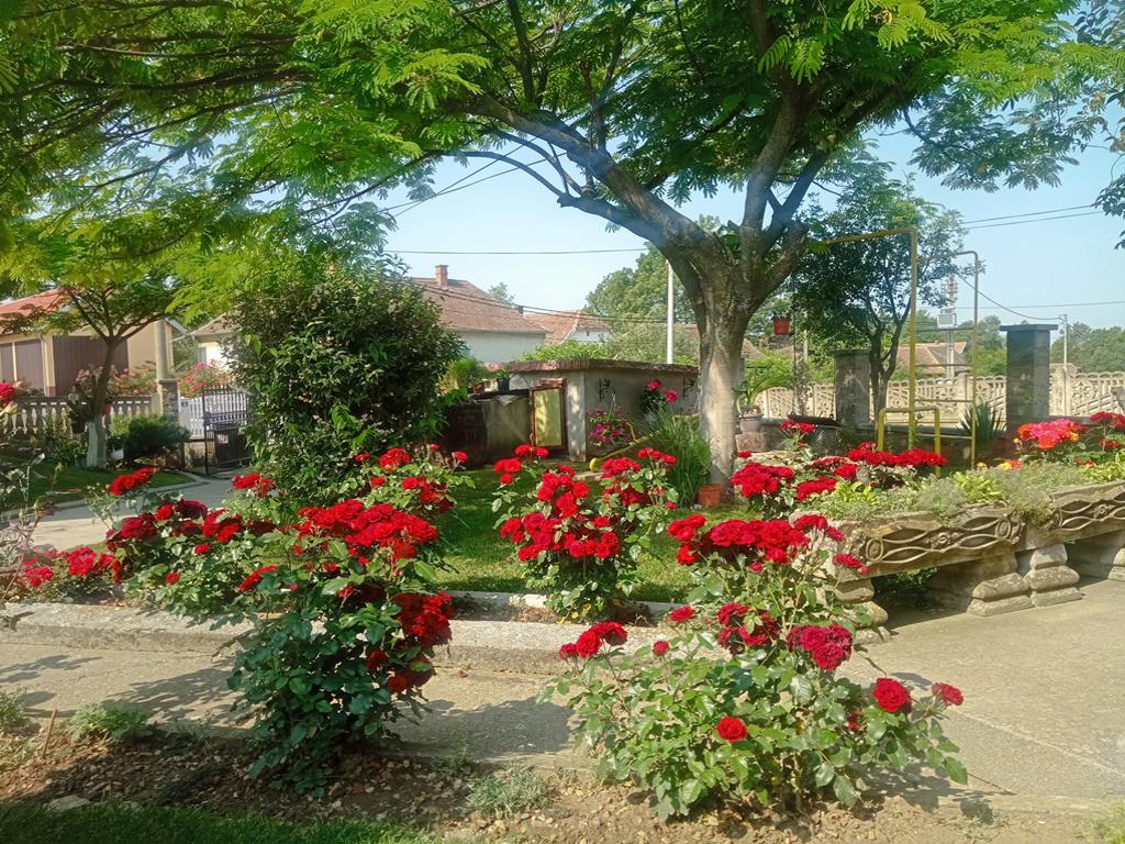 1. mesto Jovic Bozevac 2 1024x768 1