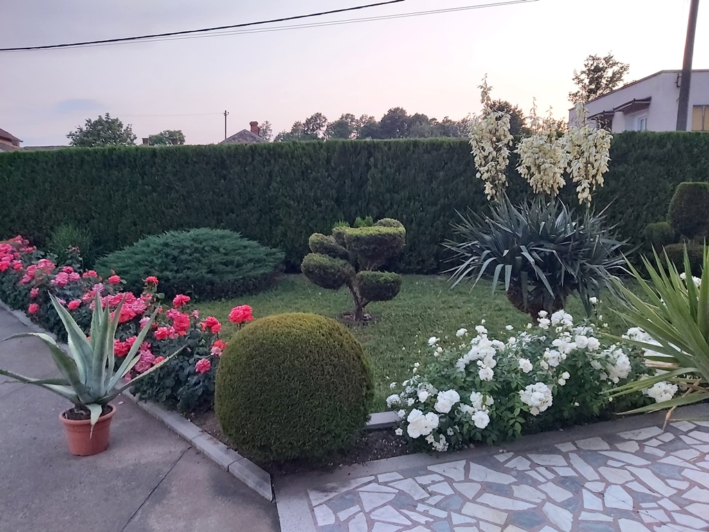 1. pohvala Acic Bubusinac