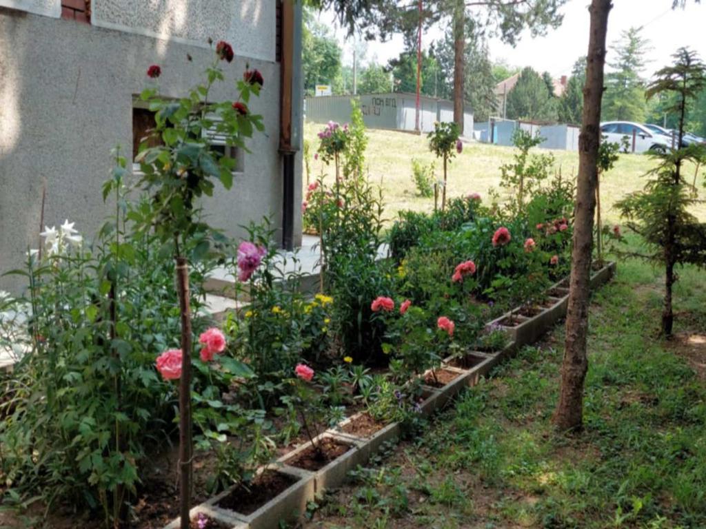 2. pohvala Stambena zajednica Kostolac 1024x768 1