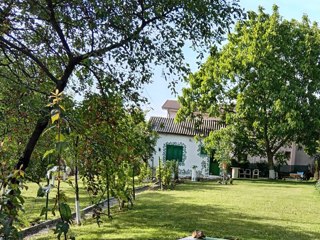 3. mesto Elezovic 1024x768 1