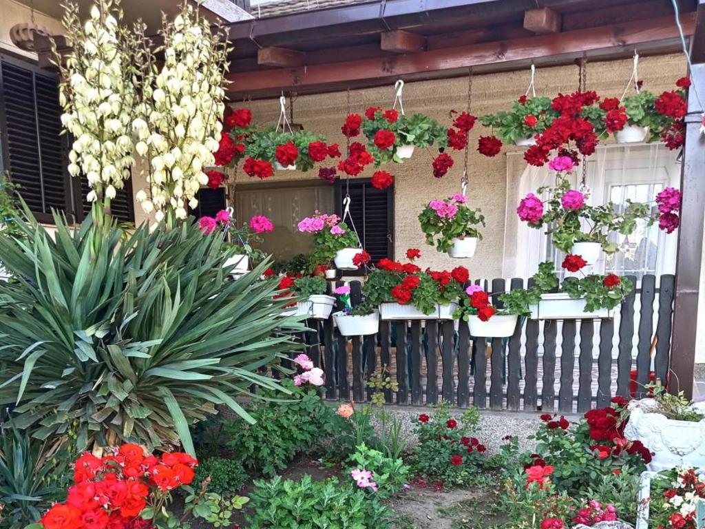 3. pohvala Pavlovic Bubusinac 1024x768 1