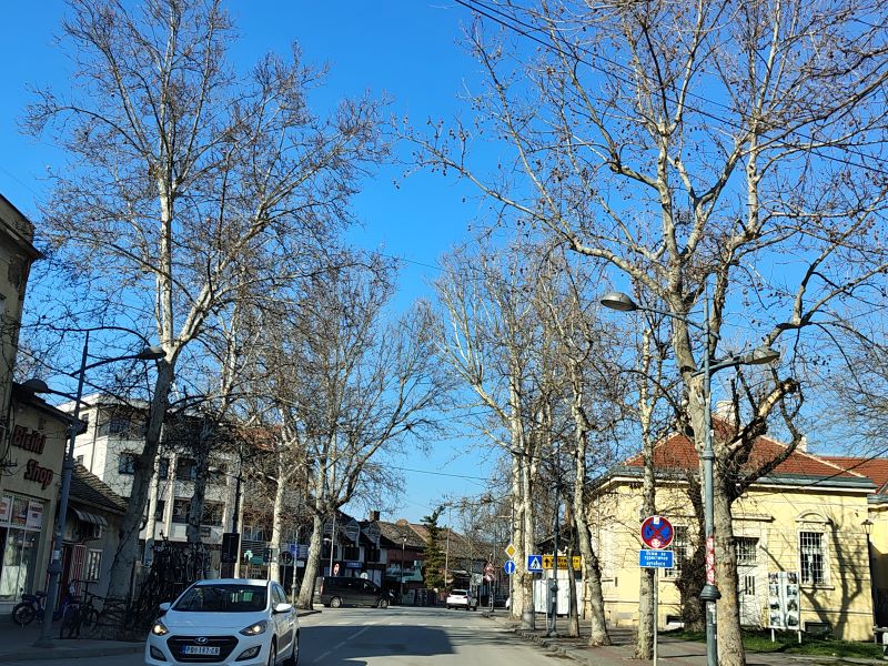 VREME ZIMA MART SUNCE