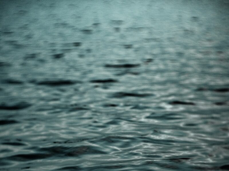 Dobrovoljna akcija čišćenja obale Dunava u Golupcu povodom Međunarodnog dana reka