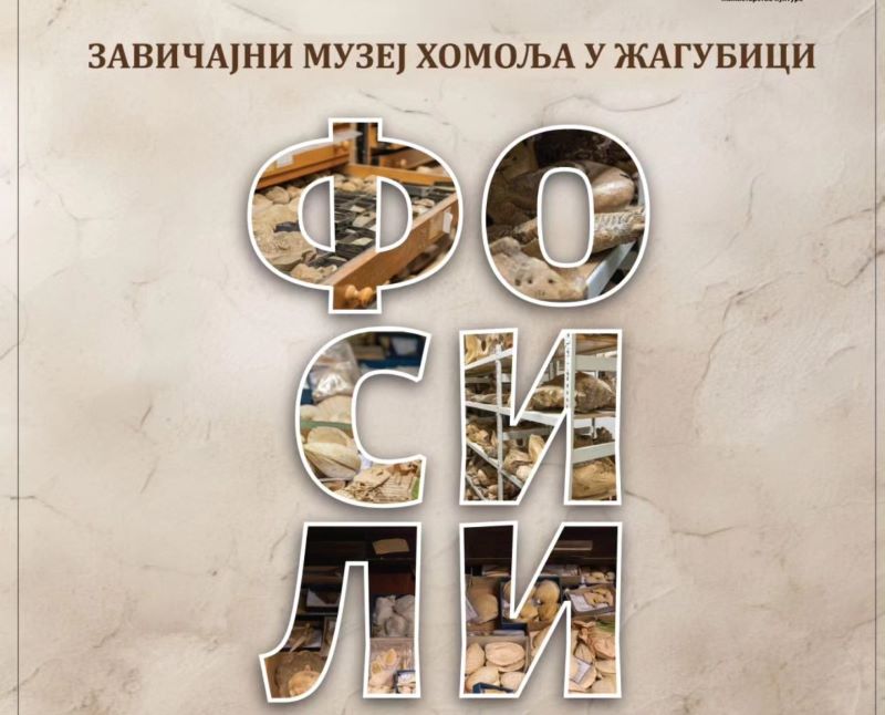 674135735 1609996466858175 6941671830408094042 n