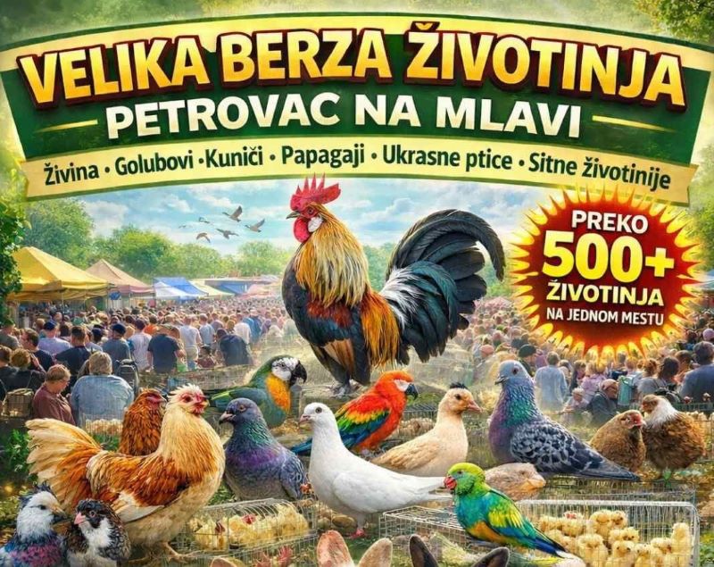 Više od 500 životinja na Velikoj berzi životinja u Petrovcu na Mlavi