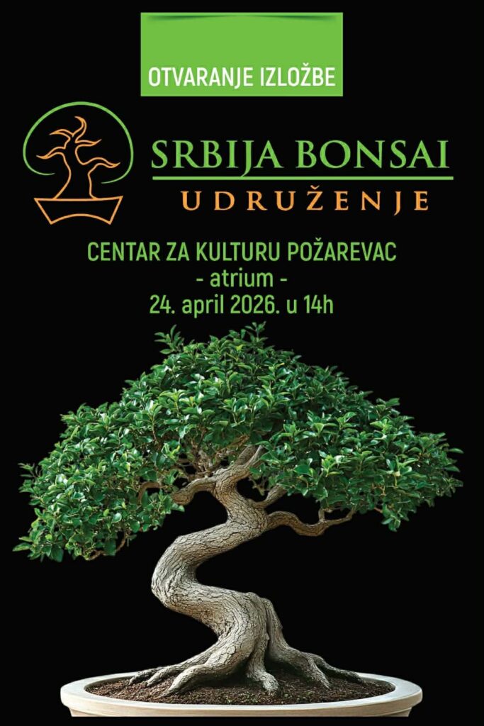 izložba „Srbija Bonsai“ požarevac