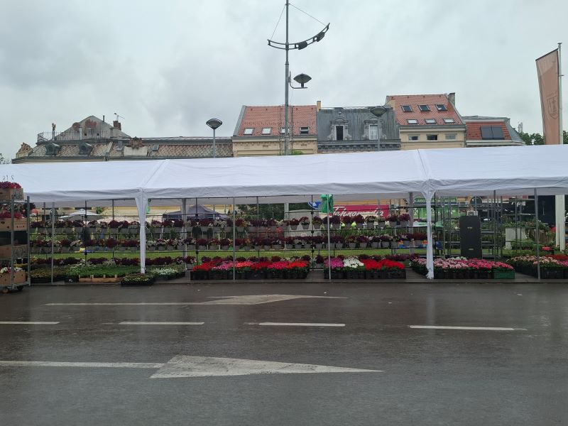 Otvoren Festival cveća u Požarevcu 7 veliki štand jednog od uzlagača na festivalu cveća u Pođarevcu