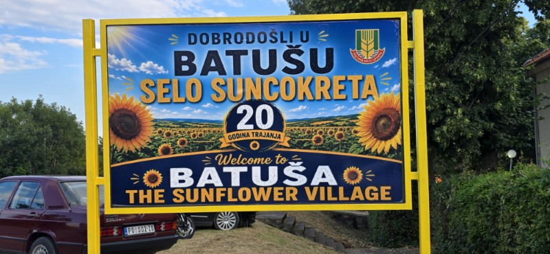 Dani suncokreta 2026 u Batuši