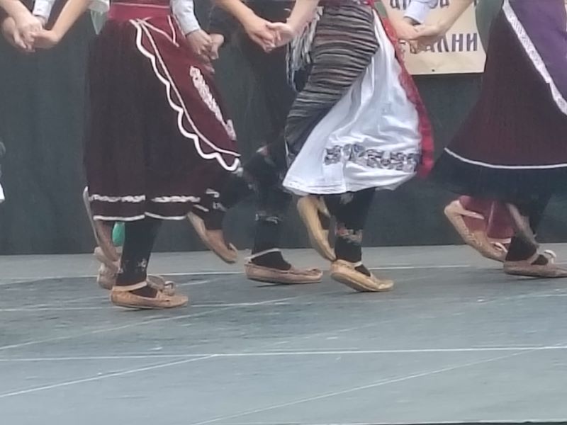 Članovi folklornog ansambla u narodnim nošnjama na manifestaciji Miholjski susreti sela Ranovac 2026