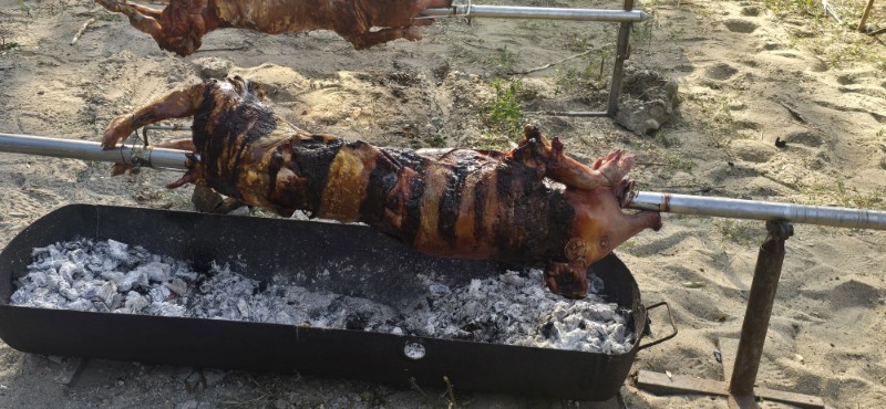 Boj na Prugovu održan uz bogat program tradicije, takmičenja i muzike 28 prasence na raznju u Boju na Prugovu
