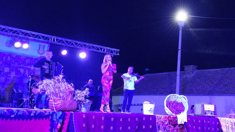 Koncert Jelene Gerbec na manifestaciji u Šapinama