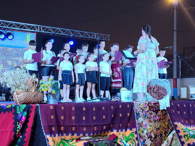 Kulturno-umetnički program na Miholjskim susretima sela u Šapinama