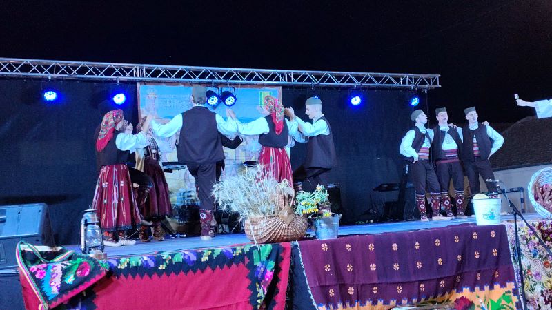 Folklorni ansambl nastupa na manifestaciji Miholjski susreti sela Šapine 2026