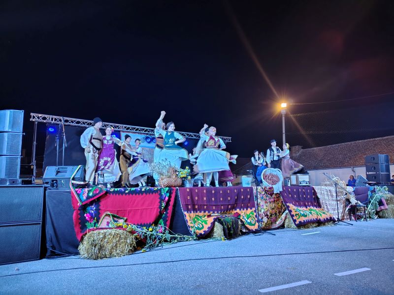 Folklorni nastup na manifestaciji Miholjski susreti sela Šapine