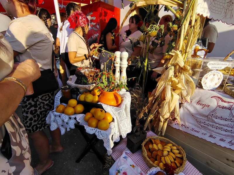 štandovi na tradicionalnoj manifestaciji u Šapinama