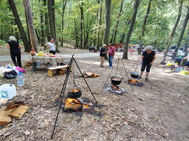Održano „Stiško poselo“ kod jezera Zaova: Tradicija, gastronomija, kultura i muzika okupili brojne posetioce (FOTO) 45 Takmičari u pripremanju gulaša na manifestaciji Stiško poselo