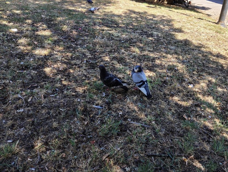 Vreme u Srbiji promenljivo oblačno i toplo