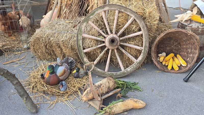Čuvari tradicije kroz generacije okupili 21 udruženje žena u Kličevcu 72