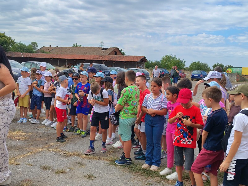 najmladji posetioci na izlozbi sitnih zivotinja u Požarevcu