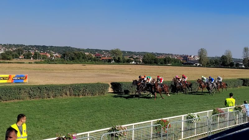 ZAVRŠENE 63. LJUBIČEVSKE KONJIČKE IGRE: Milan Ivić iz Kasidola novi vitez Ljubičeva 22 JEDNA OD trka na požarevačkom Hipodromu tokom Ljubičevskih konjičkih igara