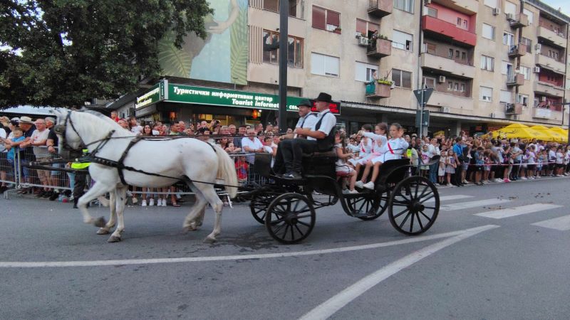 Svečanim defileom otvorene 63. Ljubičevske konjičke igre u Požarevcu (FOTO) 31 Voltižeri tokom defilea Tabačkom ulicom