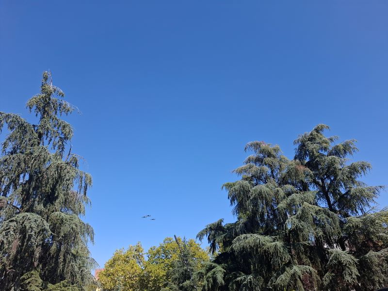 Vremenska prognoza: Sunčano i prijatno, temperature do 26 stepeni