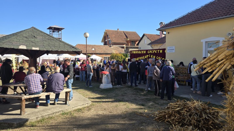 ČEŠLJEVOBARSKI SUSRETI 2026: Zatonje sveukupni pobednik manifestacije koja čuva tradiciju i narodne običaje 53 Češljevobarski susreti 2026 u Češljevoj Bari