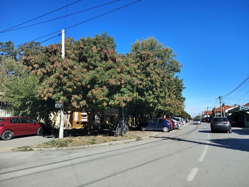 Promenljivo oblačno i hladnije vreme, povremeno kiša na jugu i istoku Srbije